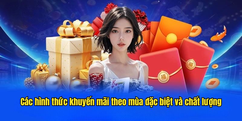 Các hình thức khuyến mãi theo mùa đặc biệt và chất lượng